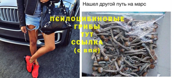 трава Алзамай