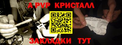 гашик Будённовск