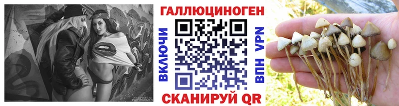 Псилоцибиновые грибы прущие грибы  Грязи 